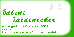 balint kaldenecker business card